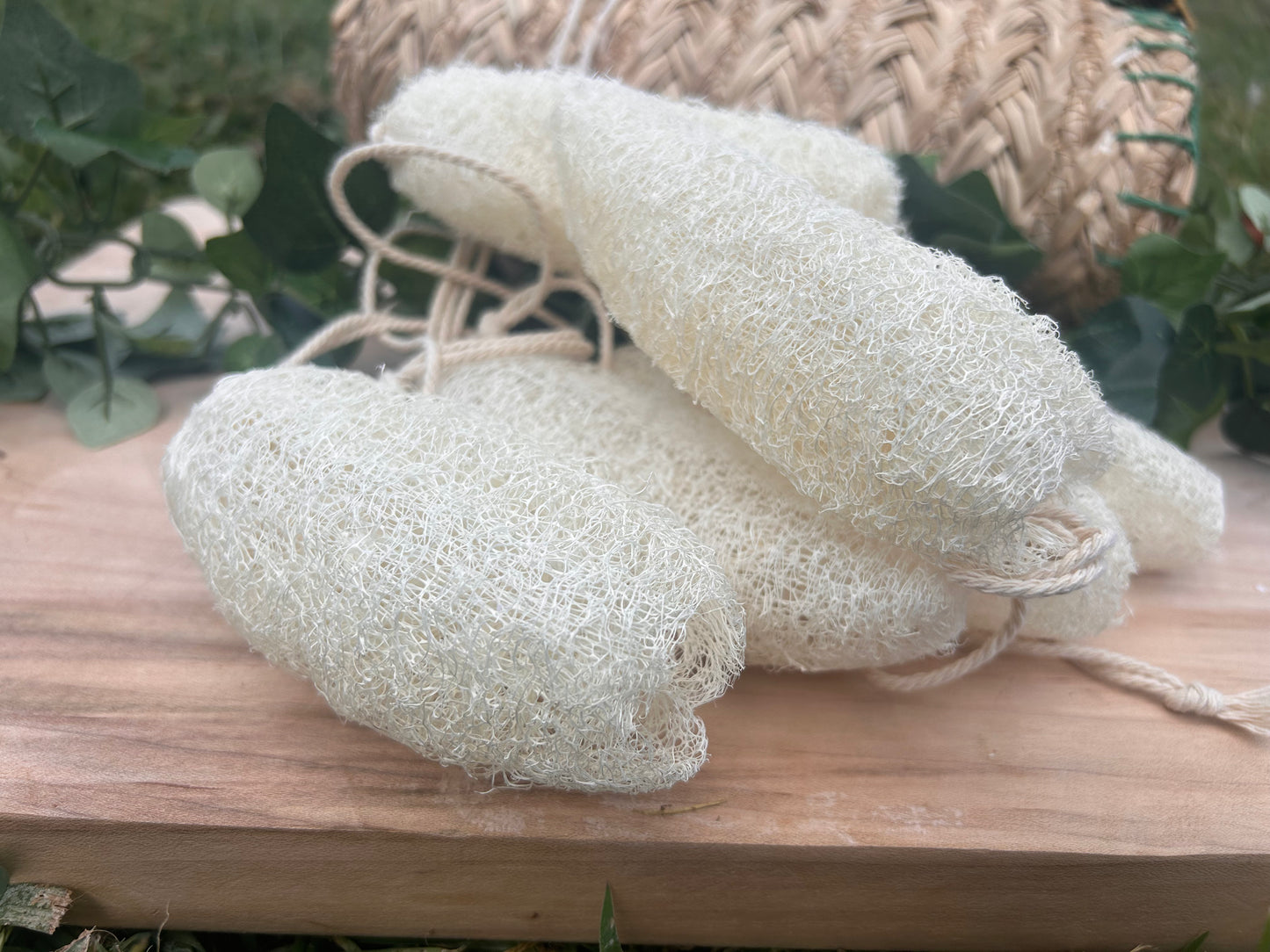 Natural Loofah Sponge