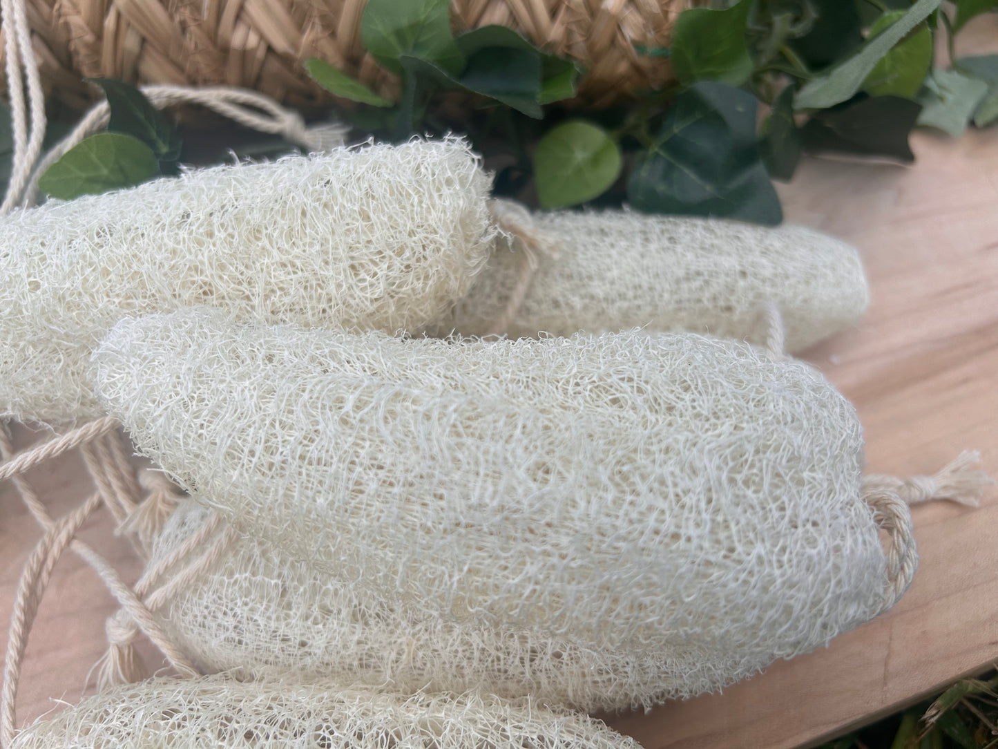 Natural Loofah Sponge