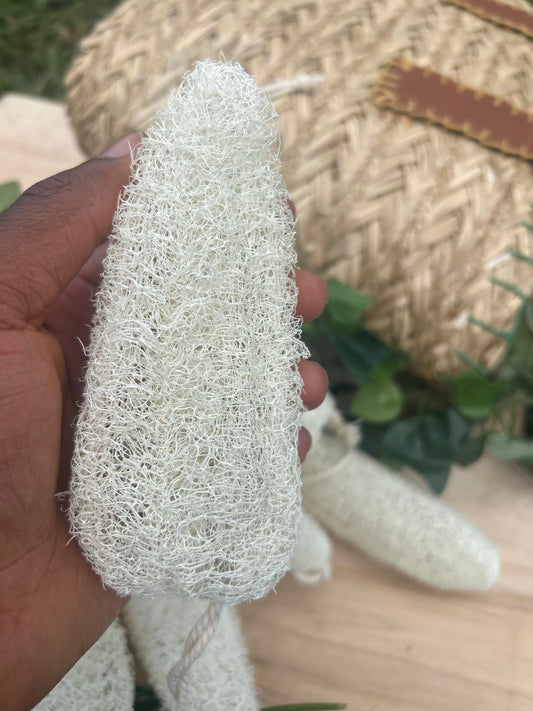 Natural Loofah Sponge